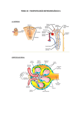 TEMA-10.pdf