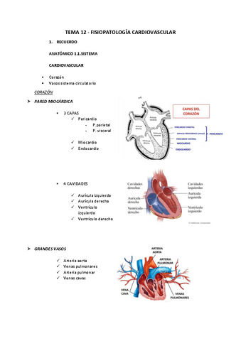 TEMA-12.pdf