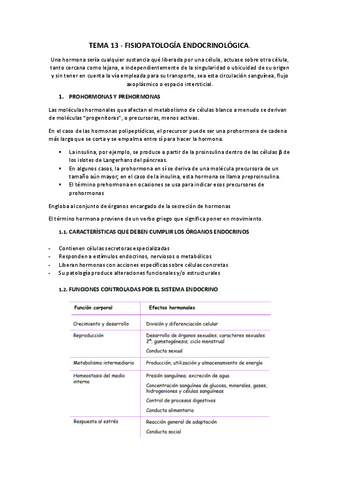 TEMA-13.pdf