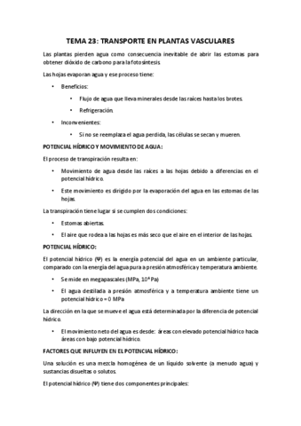 TEMA-23.pdf