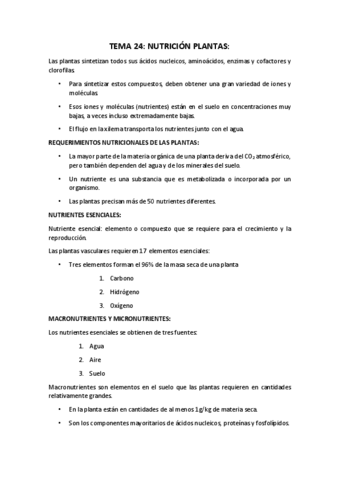TEMA-24.pdf