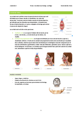 Anatomia II Tema 2. Cavidad oral, faringe y esófago.pdf