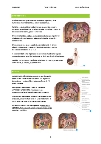 Anatomia-II-Tema-5-PANCREAS.pdf