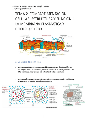 TEMA-2.-COMPARTIMENTACION-CELULAR.-ESTRUCTURA-Y-FUNCION-I.-LA-MEMBRANA-PLASMATICA-Y-CITOESQUELETO..pdf