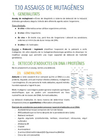 T.10-ASSAIGS-DE-MUTAGENESI.pdf