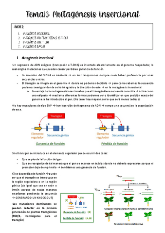 Tema13-biotec-vegetal.pdf