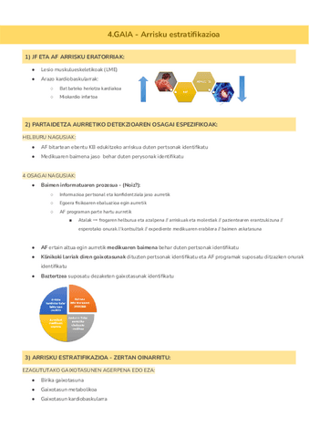 4.GAIA-Arrisku-estratifikazioa.pdf