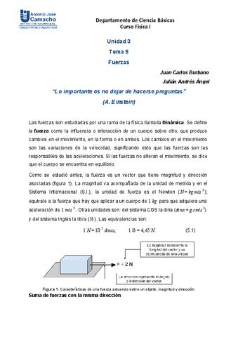 FUERZAS-2024.pdf