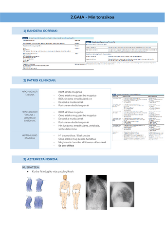 2.GAIA-Min-torazikoa.pdf