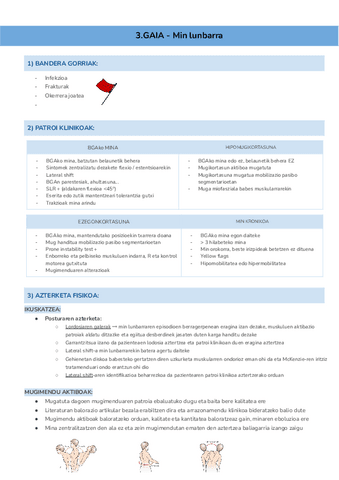 3.GAIA-Min-lunbarra.pdf