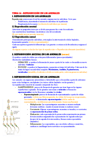 TEMA-14-REPRODUCCION-EN-LOS-ANIMALES.pdf