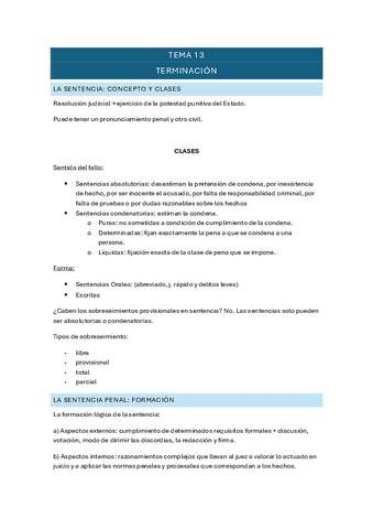 TEMA-13-dcho-procesal-II.pdf