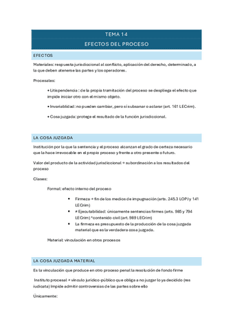 TEMA-14-DCHO-PROCESAL-II.pdf