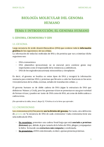 Tema-1-BMG.pdf