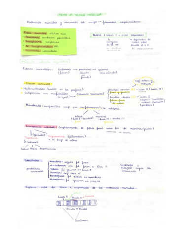Apuntes-Biologia.pdf