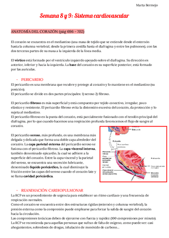 Semana 8 y 9. Sistema cardiovascular.pdf