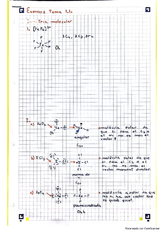 Exercicis-resolts-Tema-1.1-SIMETRIA-MOLECULAR.pdf