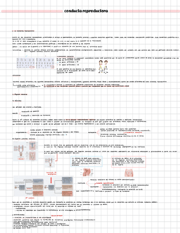 conducta-reproductora-completo-parte-1-parte-2.pdf