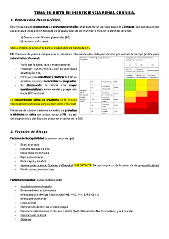 TEMA-19.-Dieta-en-Insuficiencia-Renal.pdf