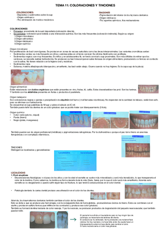COLORACIONES-Y-TINCIONES.pdf
