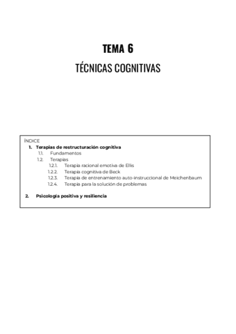 TEMA-6.pdf