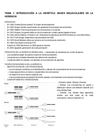 GENETICA-TEMA-1.pdf