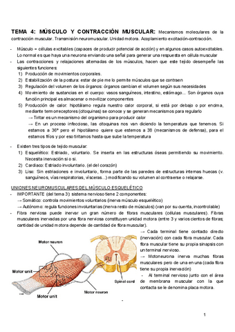 TEMA-4-F.ANIMAL.pdf