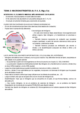 TEMA-3-F.VEGETAL.pdf