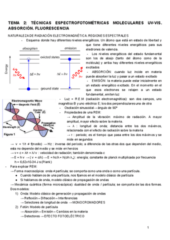 TEMA-2-TECNICAS.pdf