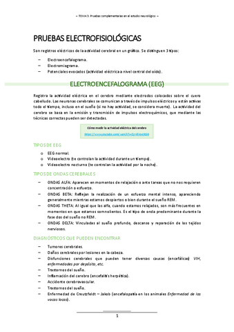 T.3 (Pruebas complementarias en el estudio neurologico) - ALT. LENGUAJE II.pdf