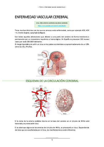 T.4 (Enfermedad vascular cerebral) - ALT. LENGUAJE II.pdf