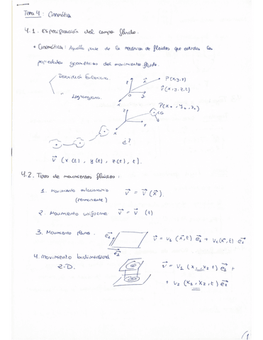 T4 Cinematica.pdf