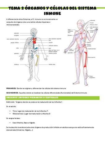 Inmunologia-T2.pdf
