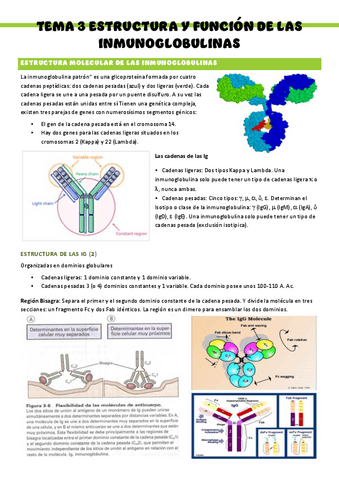 Inmunologia-T3.pdf