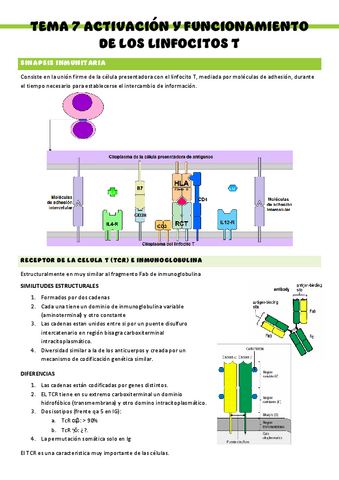 Inmunologia-T7.pdf