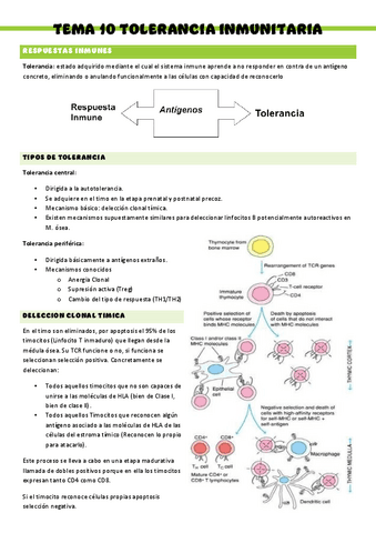 Inmunologia-T10.pdf