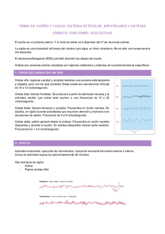 tema-14.pdf