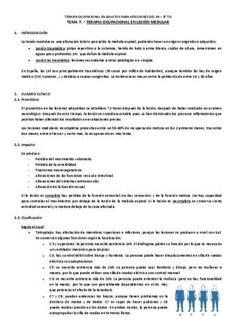 Tema-7.-TO-en-Lesion-Medular.pdf