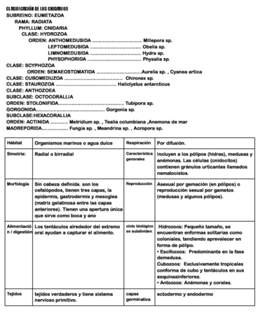 CLASIFICACION-DE-LOS-CNIDARIOS.pdf