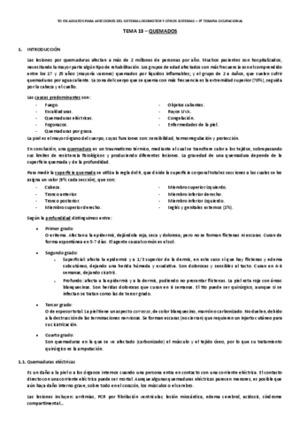 Tema-13.-Quemados.pdf