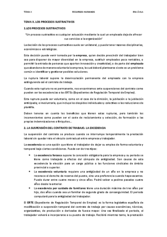 TEMA-X.-LOS-PROCESOS-SUSTRACTIVOS.pdf