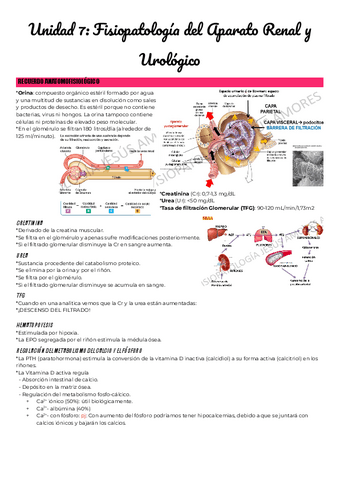 Unidad-7-Fisiopatologia-del-Aparato-Renal-y-Urinario.pdf