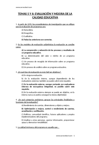 Temas-5-y-6.pdf