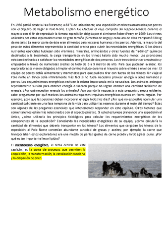 Metabolismo-energetico-Unidad-5-texto.pdf
