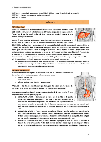 Practiques-Canovas.pdf