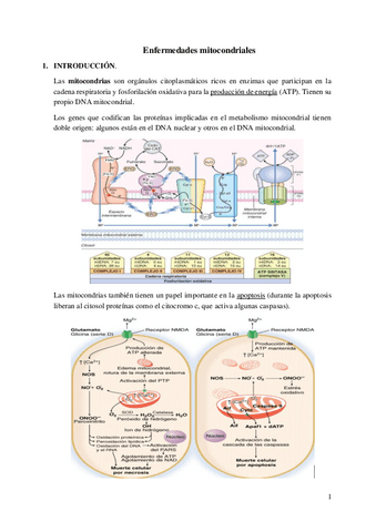 Enfermedades-mitocondriales.pdf