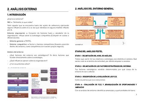 TEMA-2-ANALISIS-EXTERNO.pdf