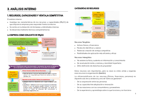 TEMA-3-ANALISIS-INTERNO.pdf