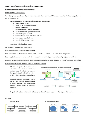 TEMA-3-DIAGNOSTIC-ESTRATEGIC.pdf
