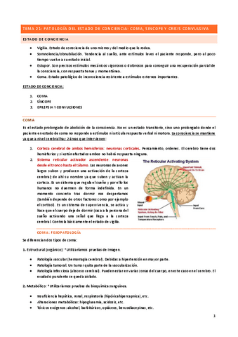 Tema-21.pdf